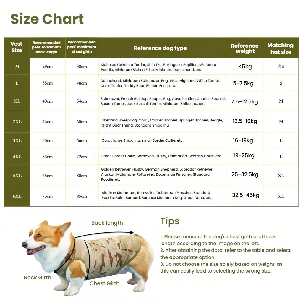 Mesh Cooling Vest & Sun Hat Set for Dogs