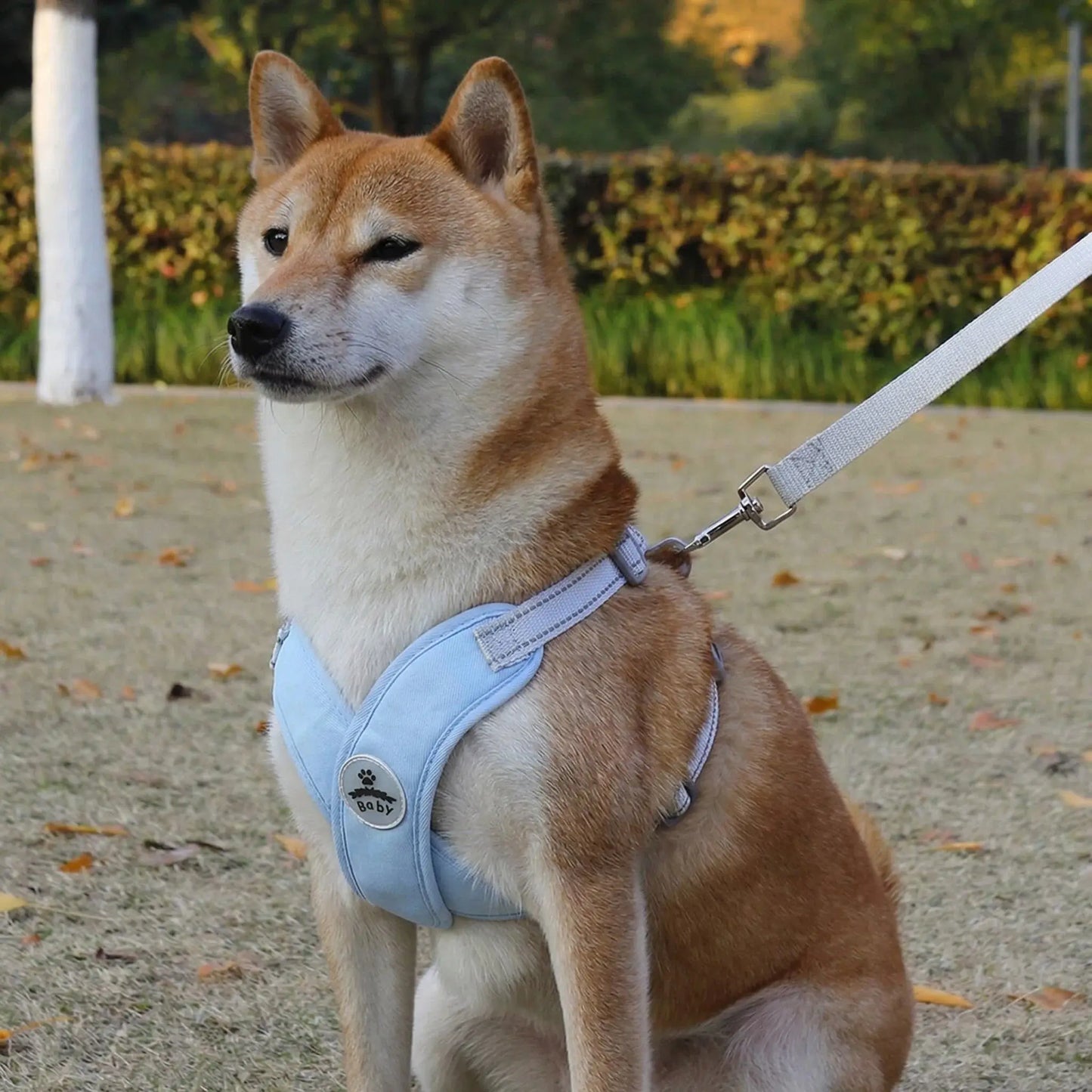 Harnais et laisse réfléchissants pour chien en forme de X | Gilet réglable à libération rapide pour petits et moyens chiens