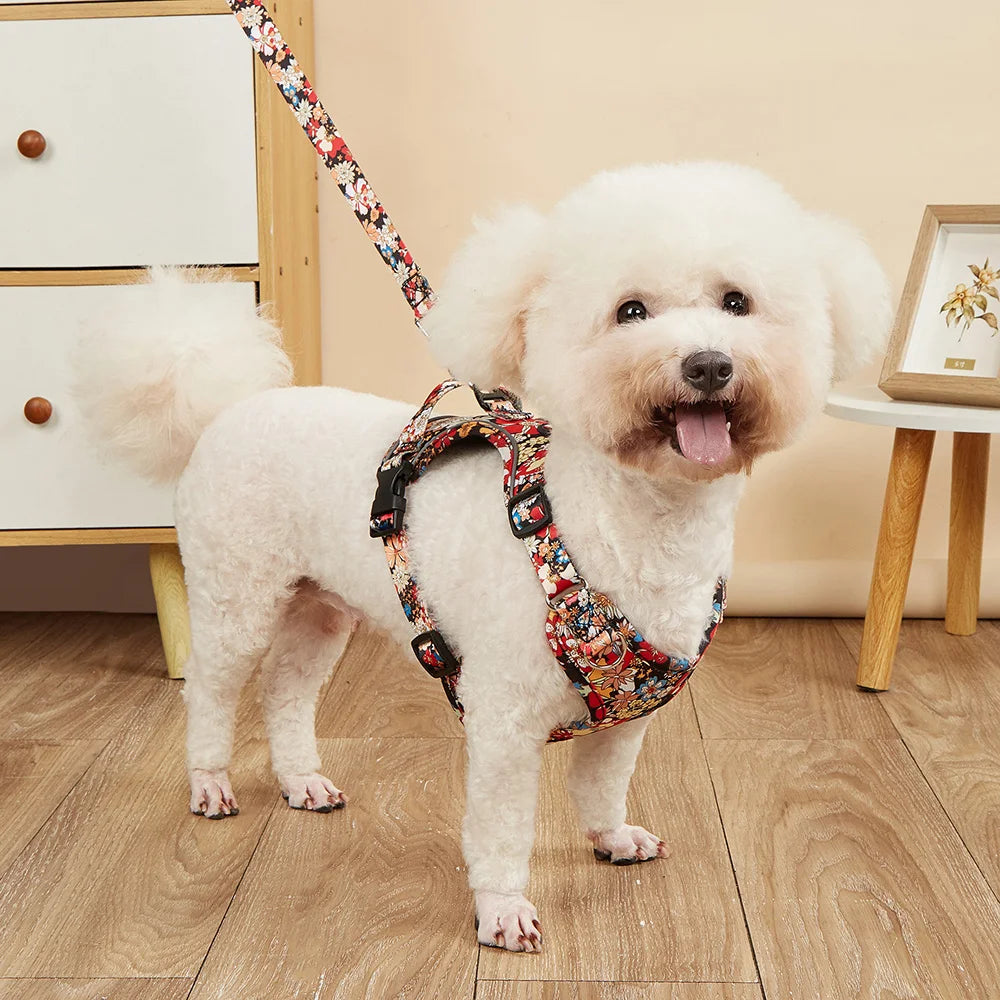 Floral Print Dog Harness & Lead Set with Reflective Strips
