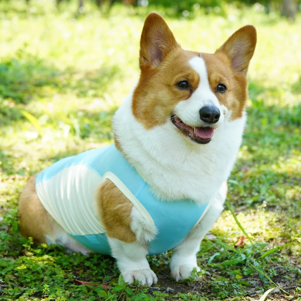 Ice Silk Cooling Vest with Sun Protection for Dogs & Cats