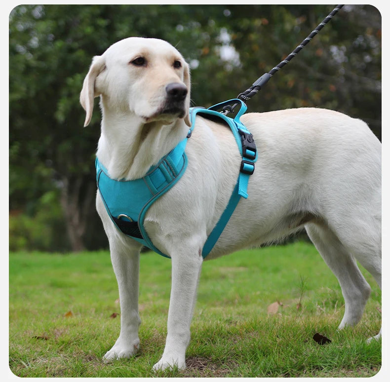 No-Pull Dog Harness with AirTag Holder, Handle & Front Clip — Reflective Padded Vest for Walking & Training