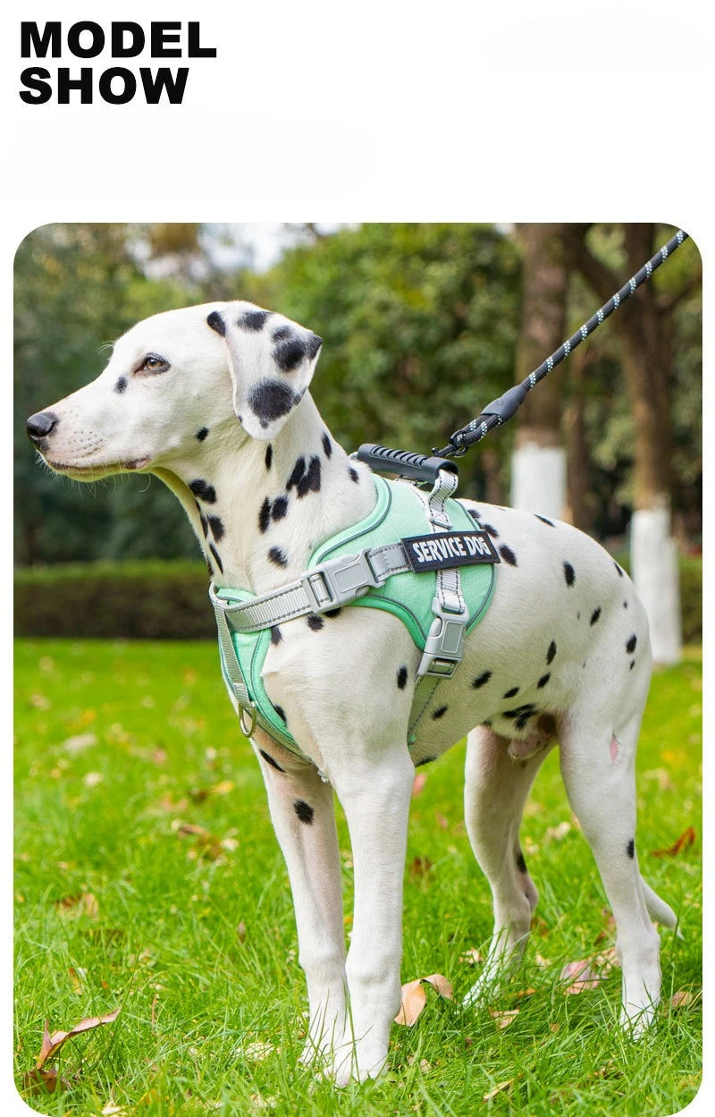 No Pull Dog Harness with Front Clip and Handle