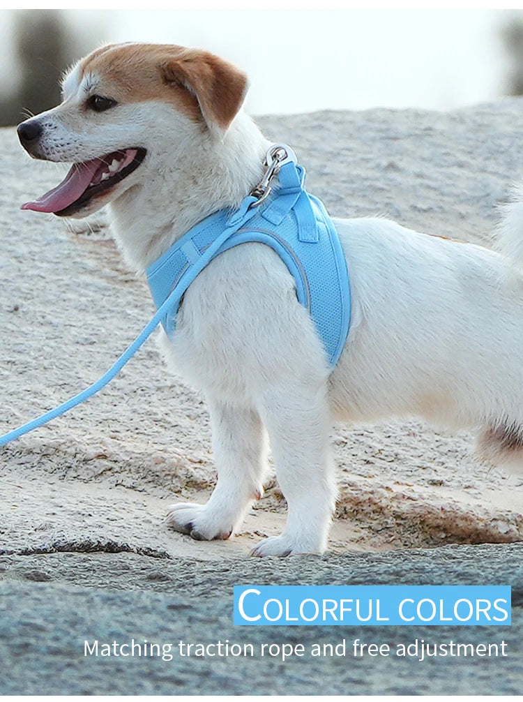 Reflective Dog & Cat Harness with Leash Set