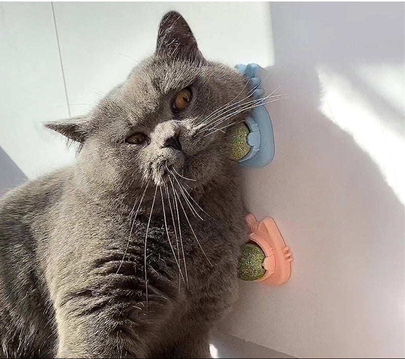Catnip Wall Ball - Natural Edible Cat Mint Toy for Hairball Relief