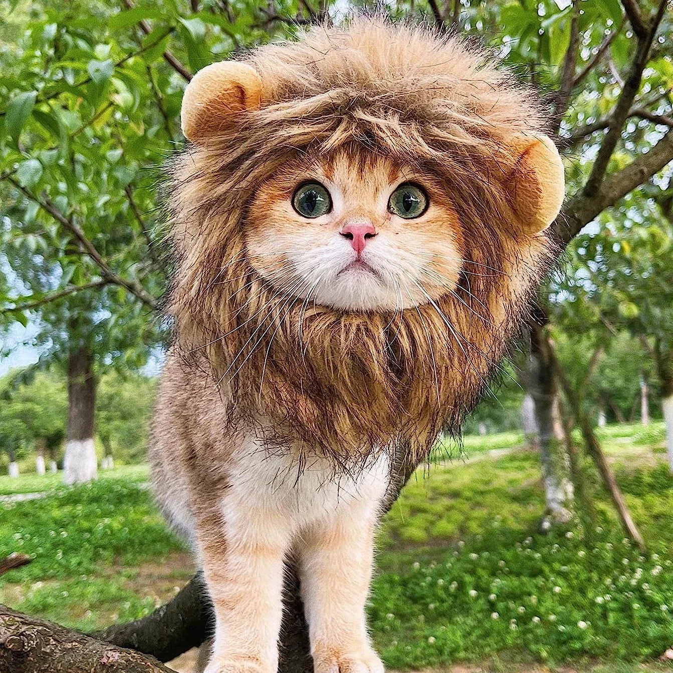 Lion Mane Pet Costume for Dogs and Cats