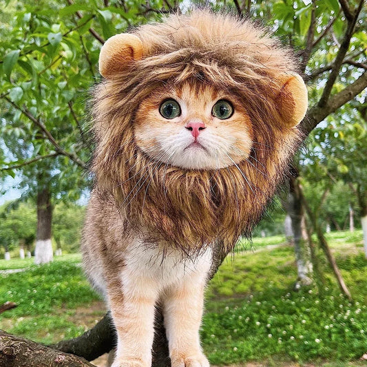 Lion Mane Pet Costume for Dogs and Cats