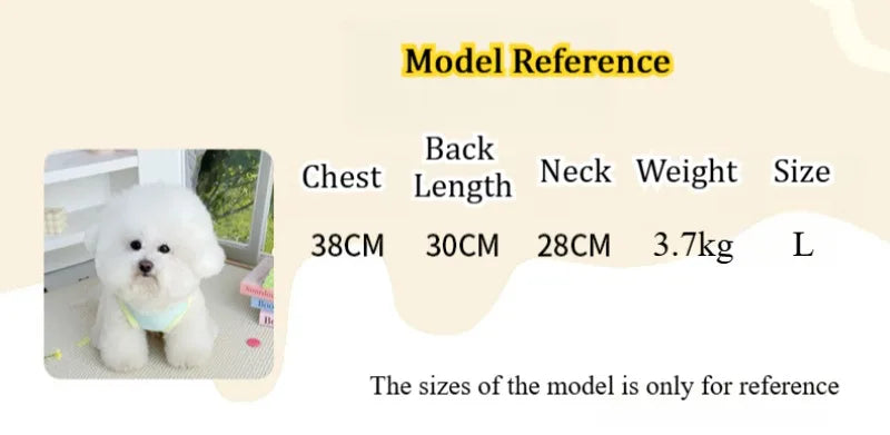 Gilet rafraîchissant réfléchissant et t-shirt d'été pour chiens et chats de petite, moyenne et grande taille