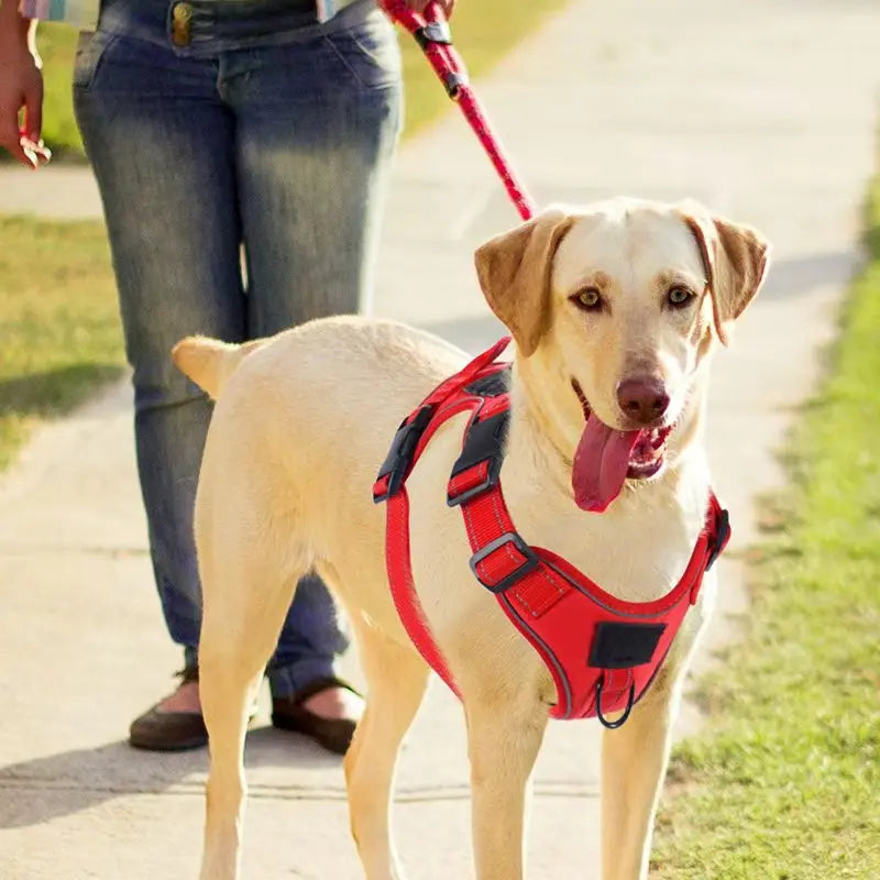 Harnais pour chien anti-traction avec protection en silicone pour traceur GPS