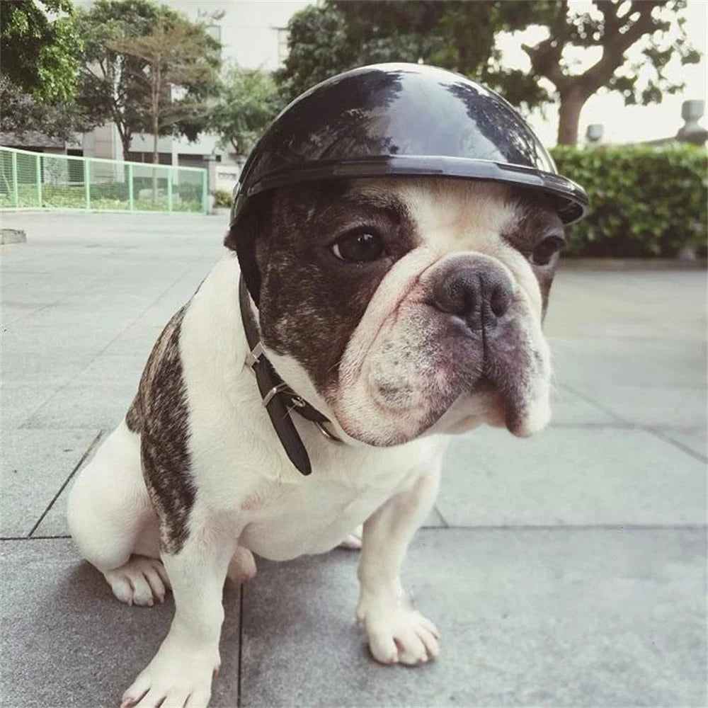 Novelty Riding Helmet Hat for Dogs & Cats