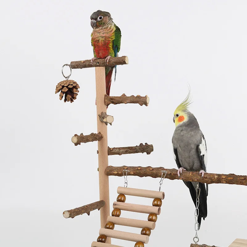Perchoir d'escalade en bois naturel pour perroquets avec balançoire, échelle et pont suspendu