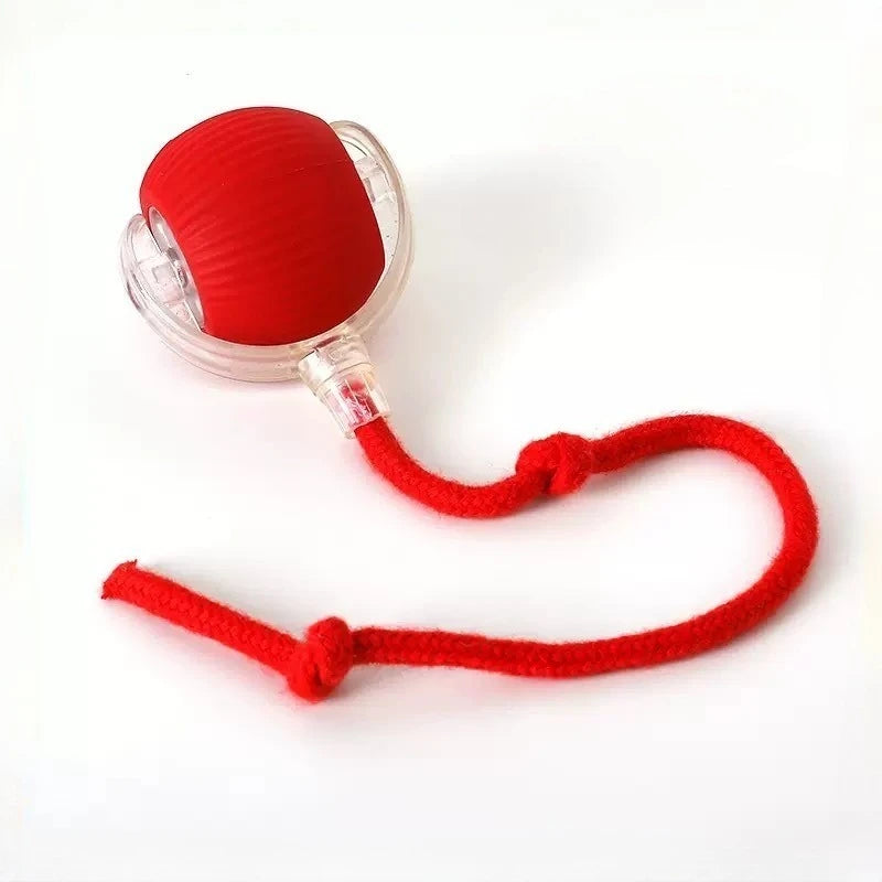 Automatic Rolling Ball Cat Toy - Rechargeable