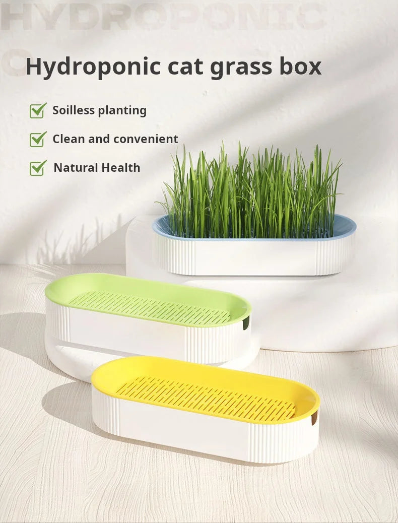 Kit de culture d'herbe à chat hydroponique – Ensemble de plantation sans terre pour friandises fraîches pour chats