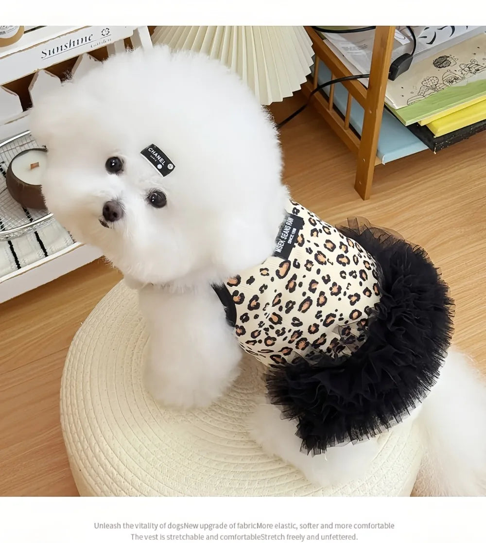 Leopard Print Mesh Slip Dress for Dogs & Cats | Summer Princess Dress for Puppies, Pomeranians & Sphynx Cats