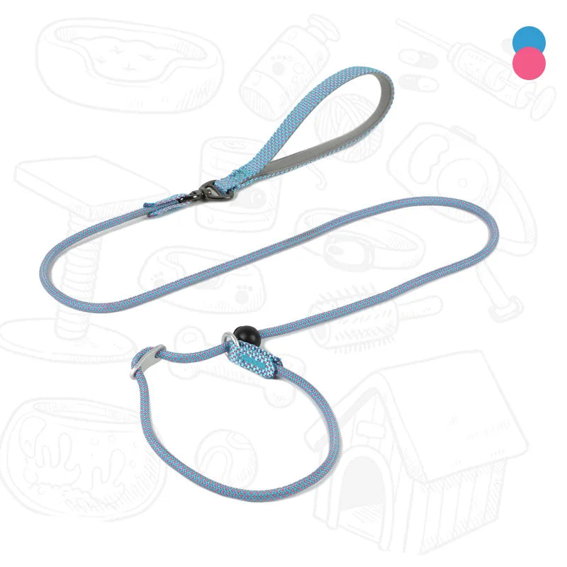 Laisse de dressage 2-en-1 avec collier étrangleur intégré pour petits chiens 150cm