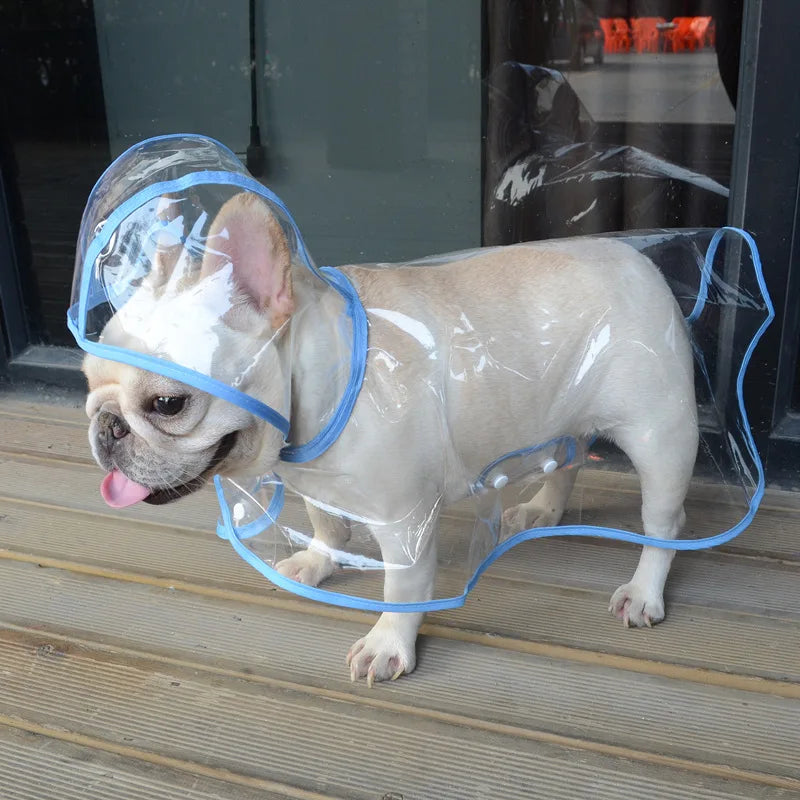 Transparent Waterproof Raincoat for Small & Medium Dogs
