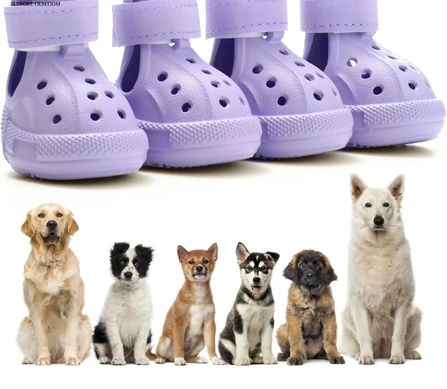 Chaussures pour chien pour trottoir chaud