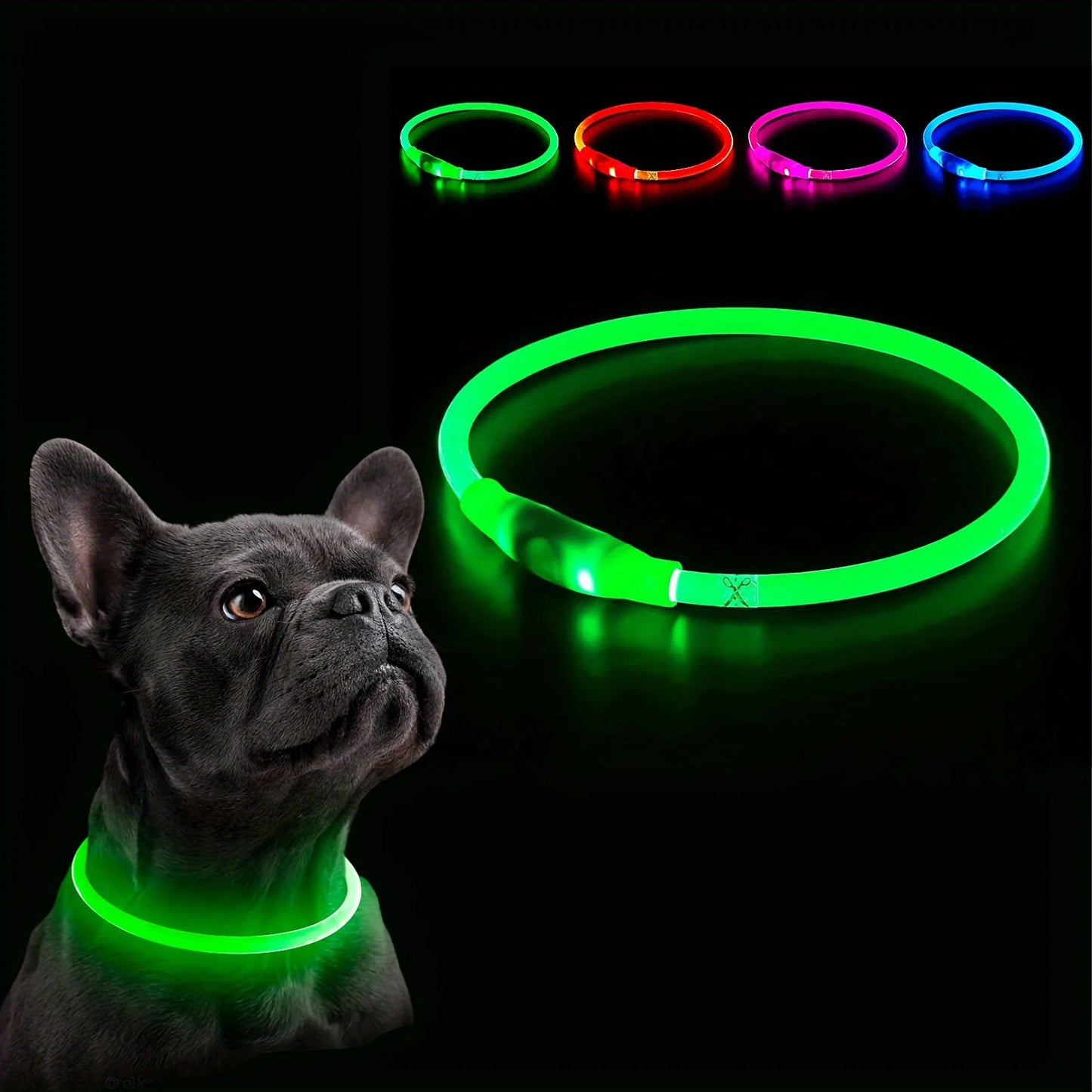 Collier lumineux LED pour chien - Collier de sécurité rechargeable par USB pour une visibilité nocturne