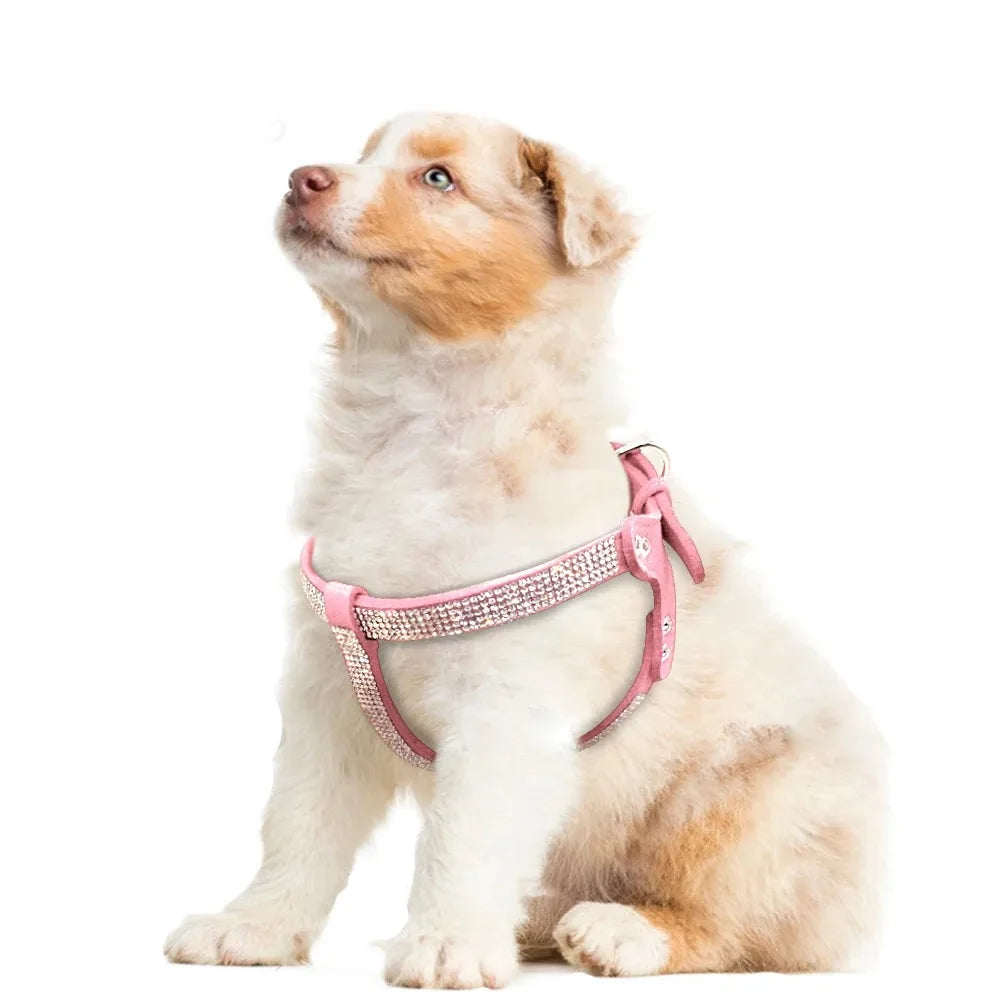 Harnais universel pour chien – Accessoires pour animaux de compagnie petites et grandes races