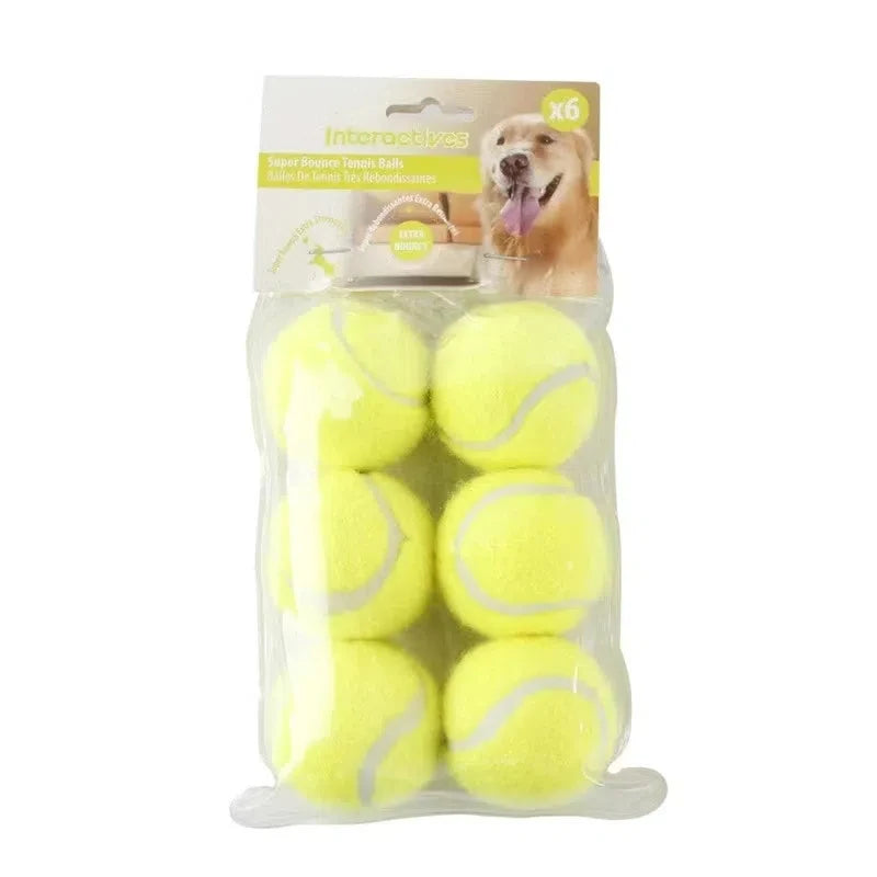 Automatic Dog Ball Launcher & Treat Reward Machine