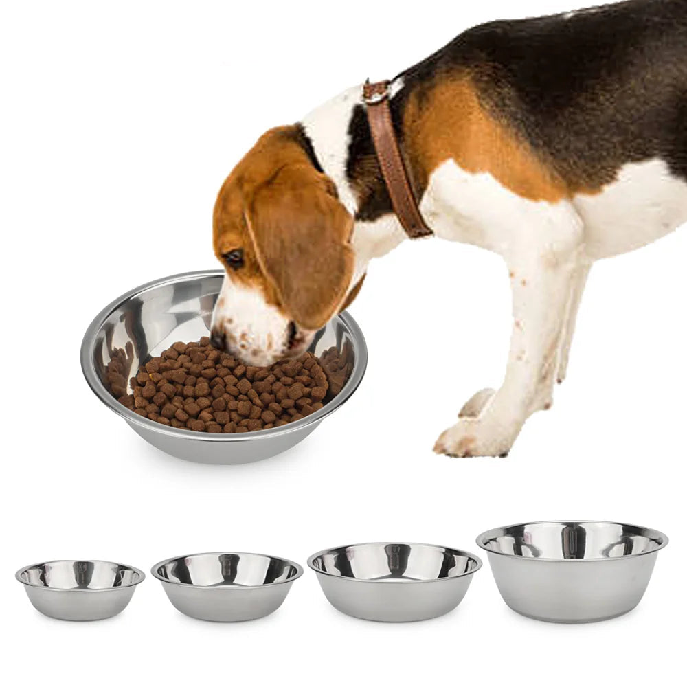 Stainless Steel Pet Bowl for Dogs & Cats