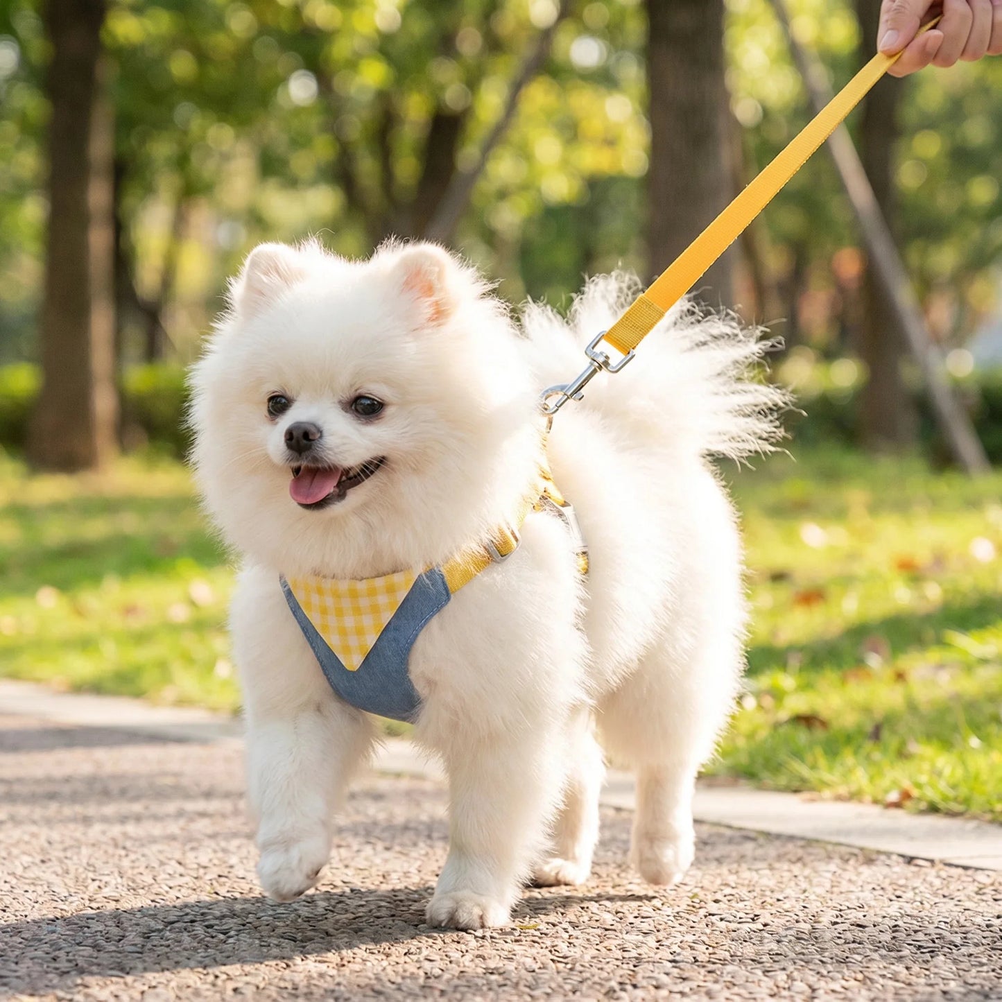 Denim No-Pull Harness & Leash Set for Dogs & Cats
