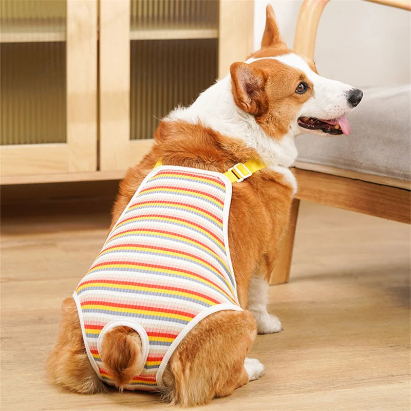 Striped Adjustable Physiological Shorts for Female Dogs