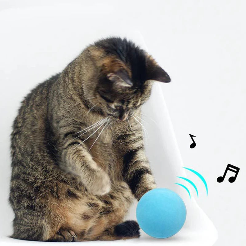 Sound Ball Cat Toy — Animal Noise Squeaky Ball for Cats & Kittens