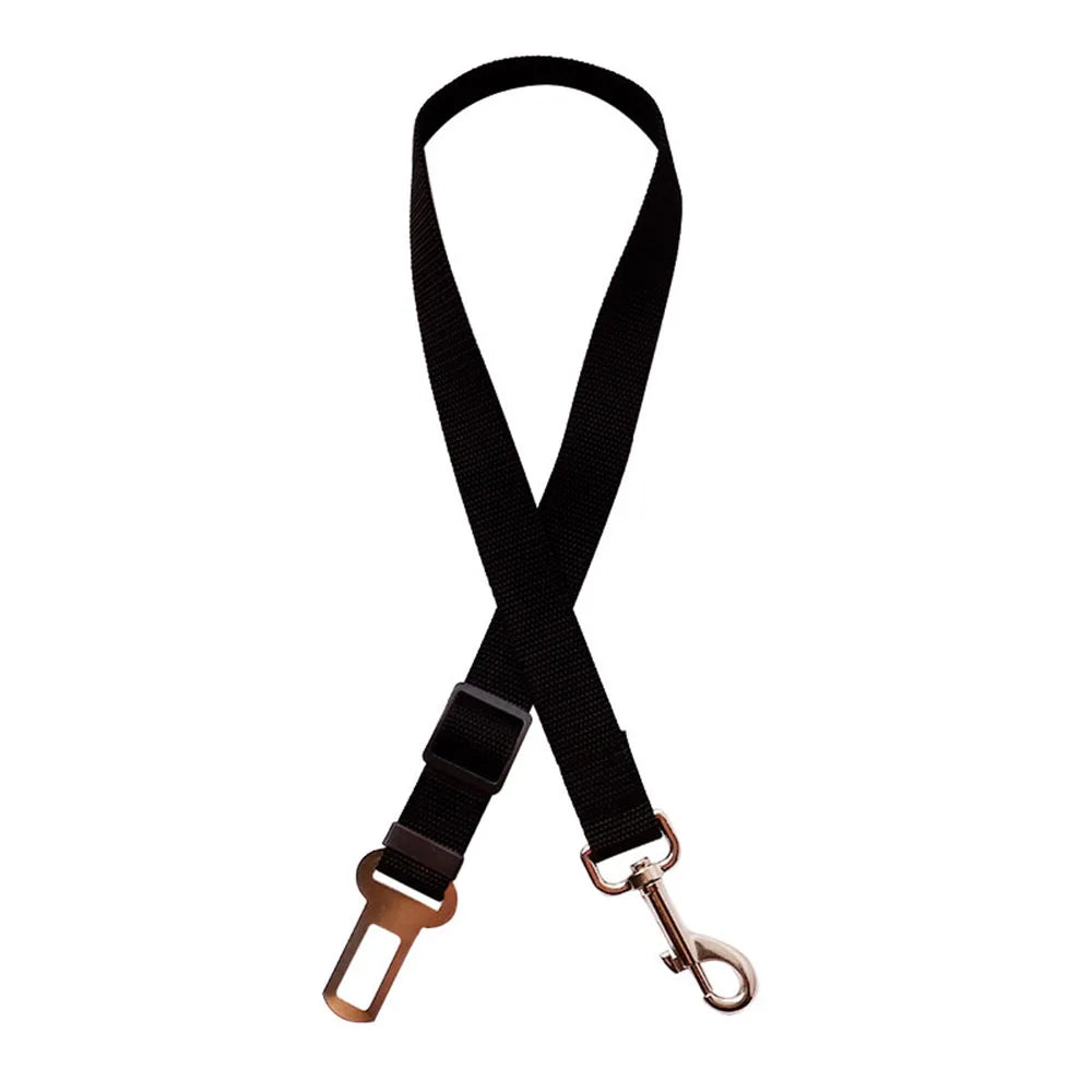 Ceinture de sécurité rétractable pour chien avec bande réfléchissante