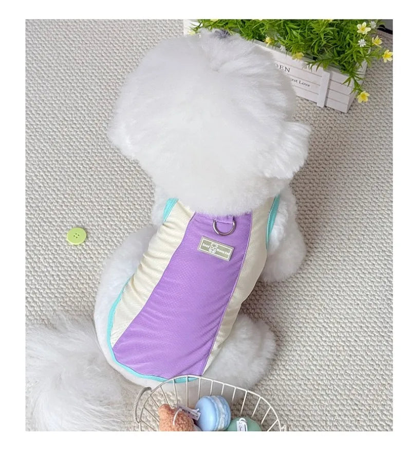 Gilet rafraîchissant réfléchissant et t-shirt d'été pour chiens et chats de petite, moyenne et grande taille