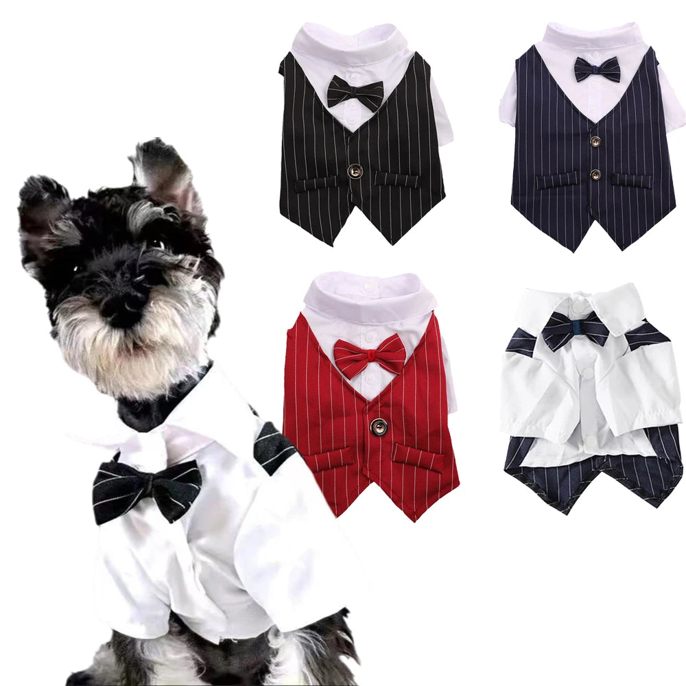 Striped Tuxedo Jacket with Bow for Small Dogs & Cats