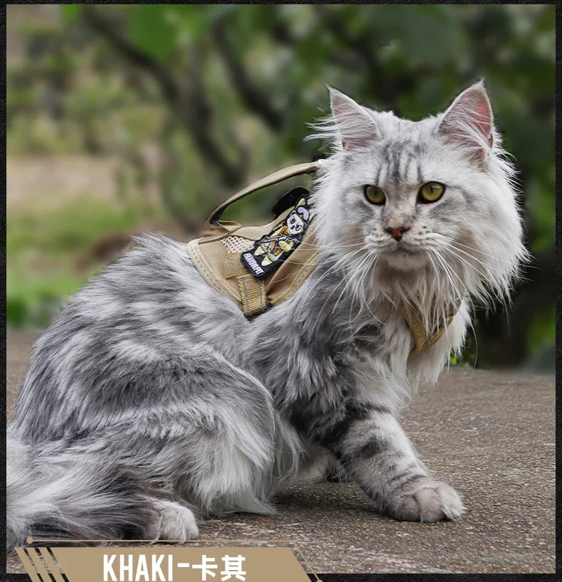 Harnais tactique réfléchissant avec poignée pour chats et chatons