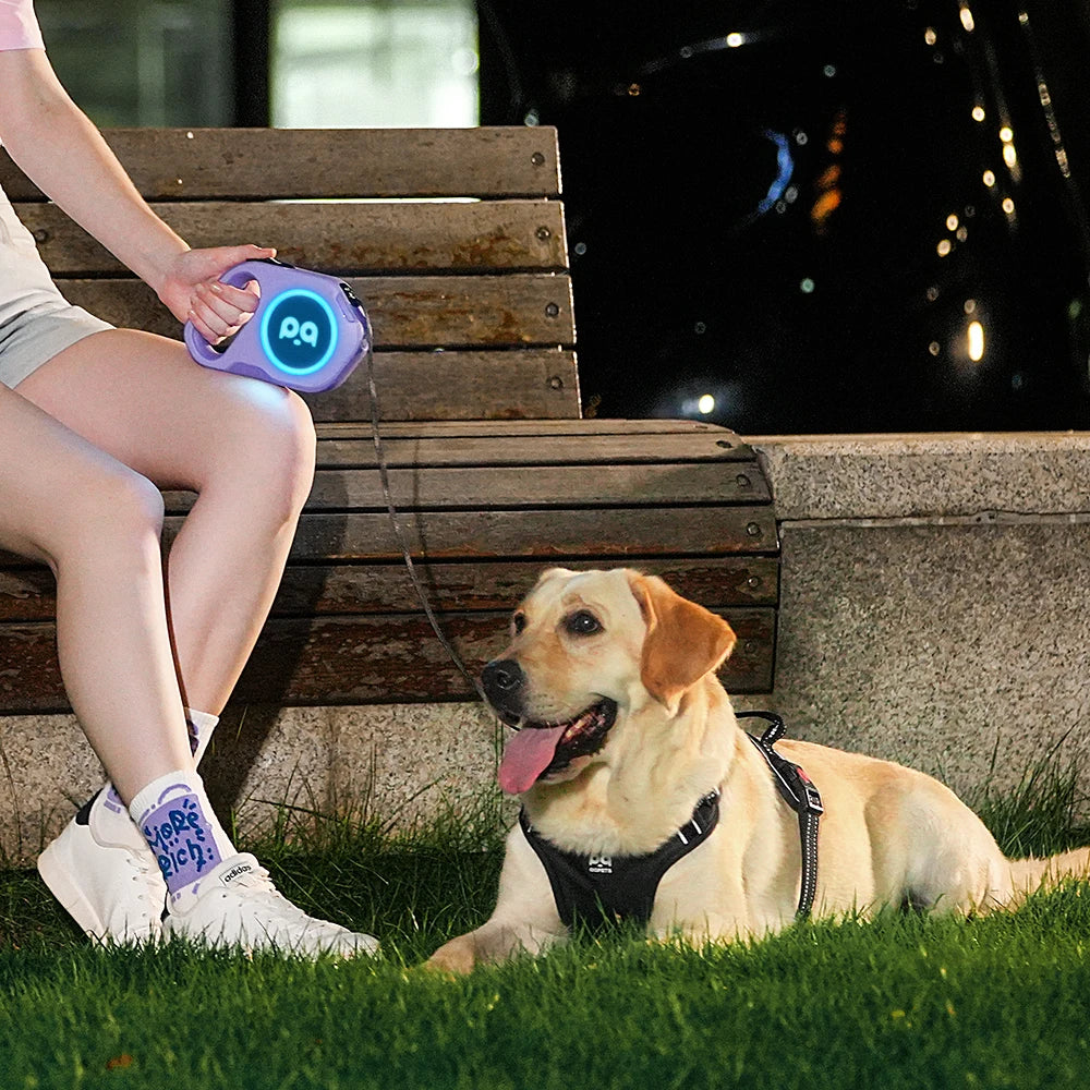 LED Retractable Dog Leash | 5M Rechargeable Light-Up Leash