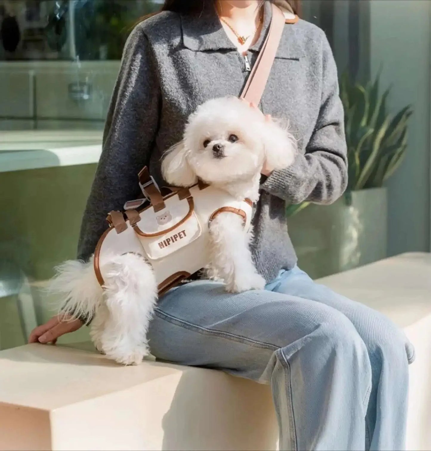 Sac de transport pour animaux de compagnie avec design de sac à dos