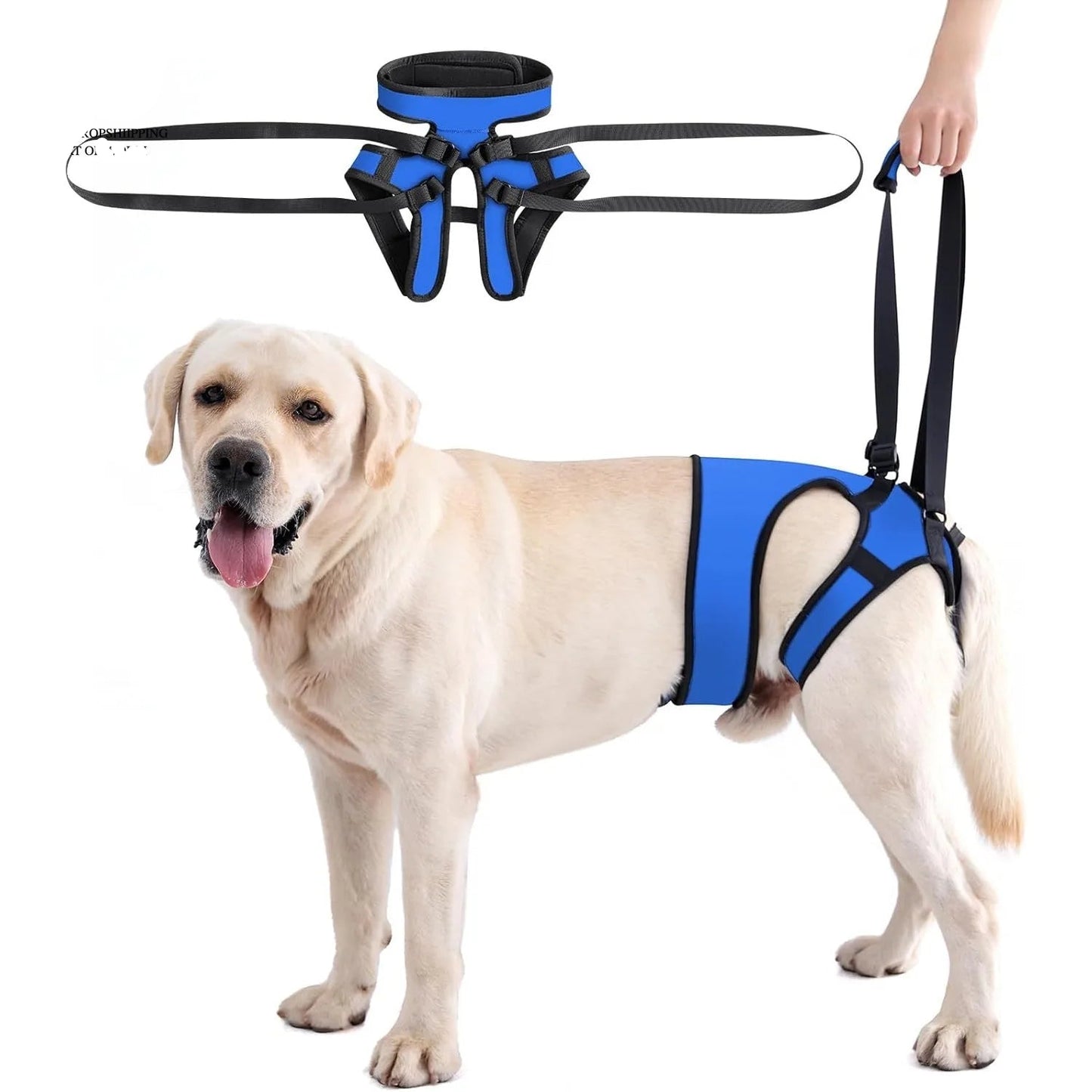 Hind Leg Support Dog Sling for Large & Senior Dogs | Adjustable Mobility Aid