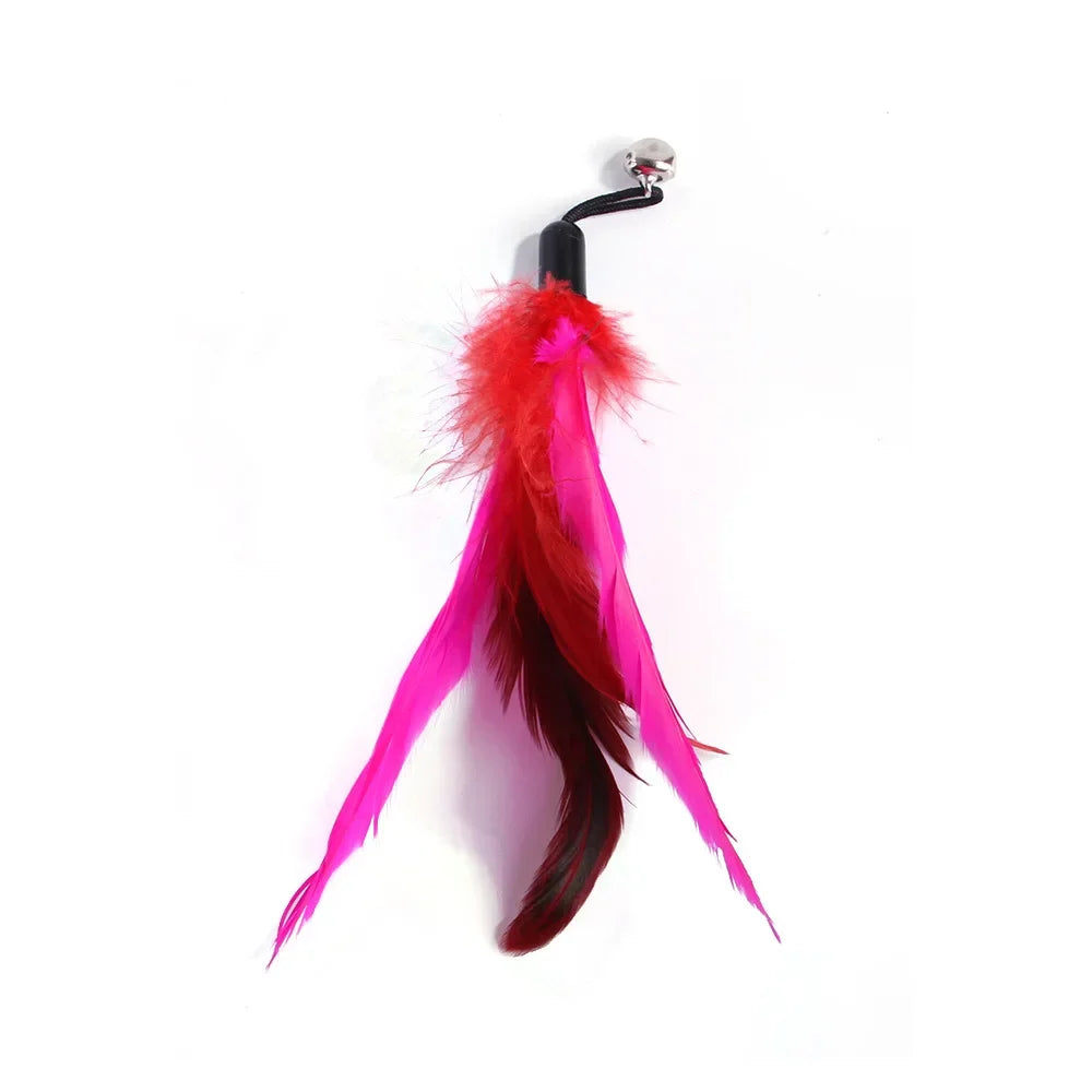 Retractable Cat Feather Wand Set