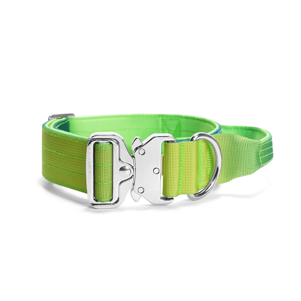 Wide Padded Dog Collar with Handle | Gradient Design for Large Dogs