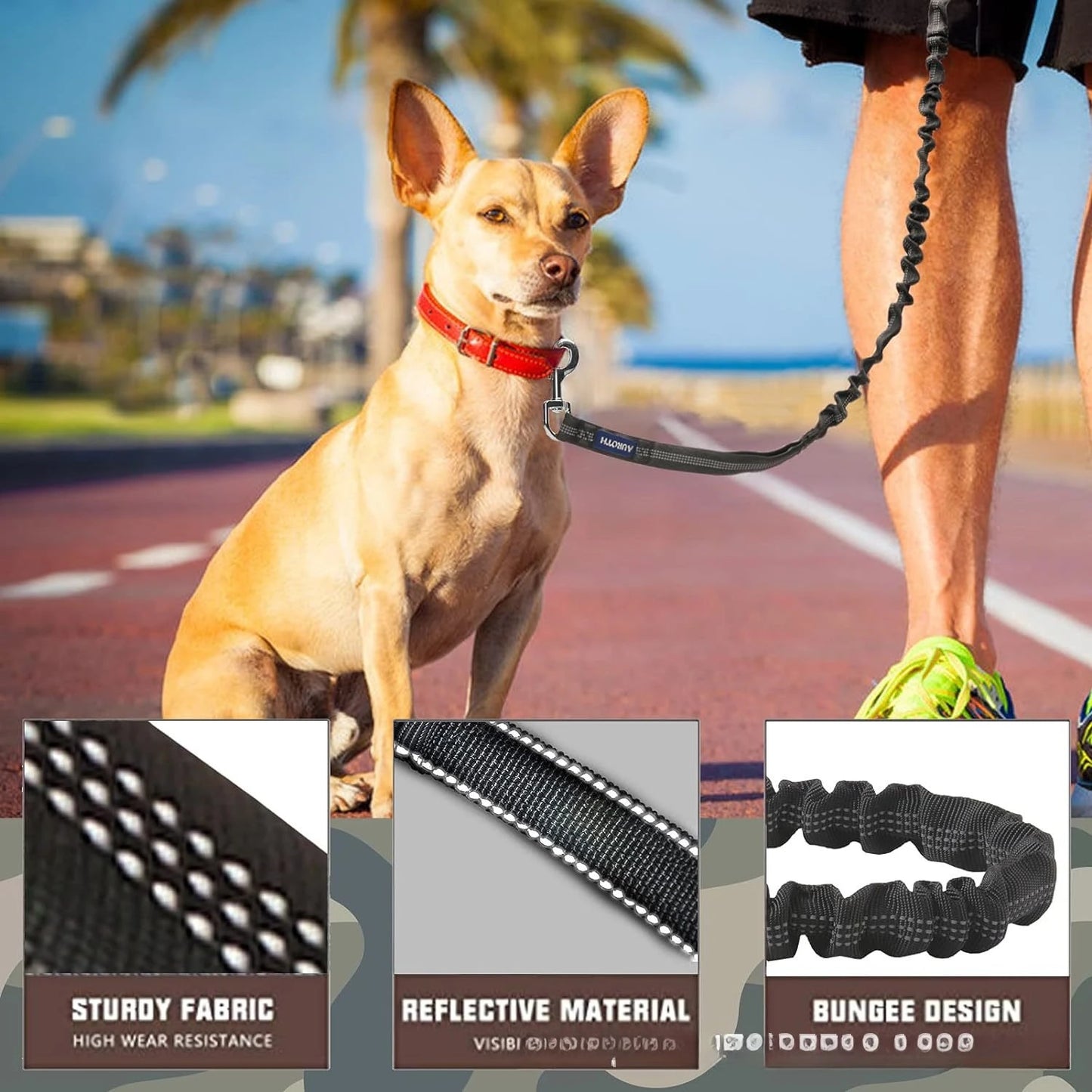 Laisse de dressage élastique antichoc pour chien