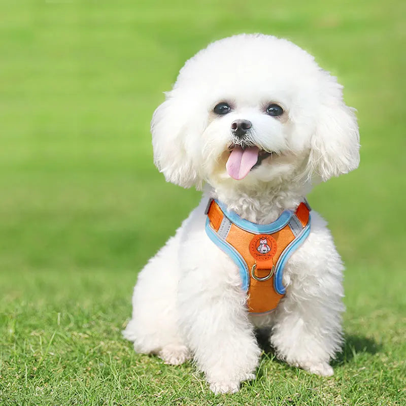 Harnais Réfléchissant Respirant pour Chien - Réglable pour Petits Chiens et Chiots