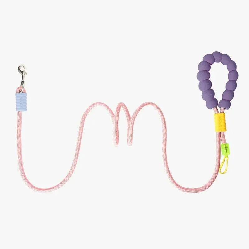 Ensemble laisse et collier premium pour chiens - Chiens de petite à moyenne taille