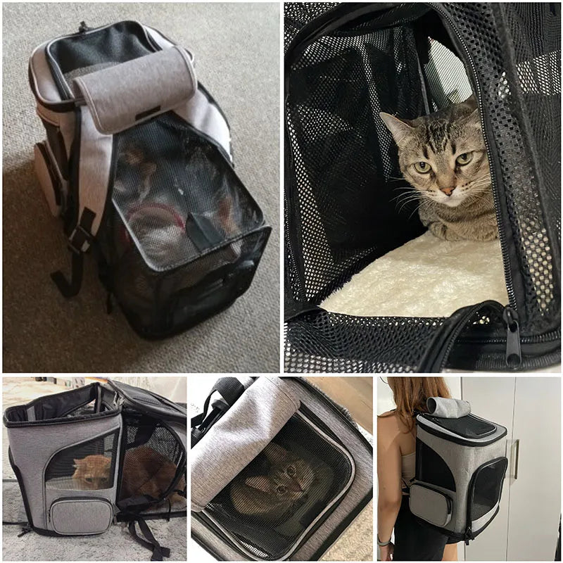 Foldable Cat Carrier Backpack