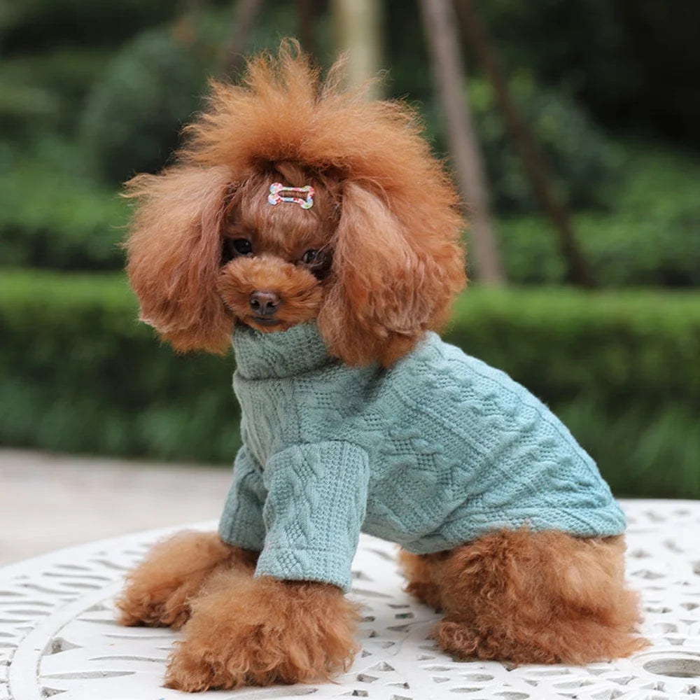 Long-Sleeve Knitted Pullover Sweater for Cats & Small Dogs