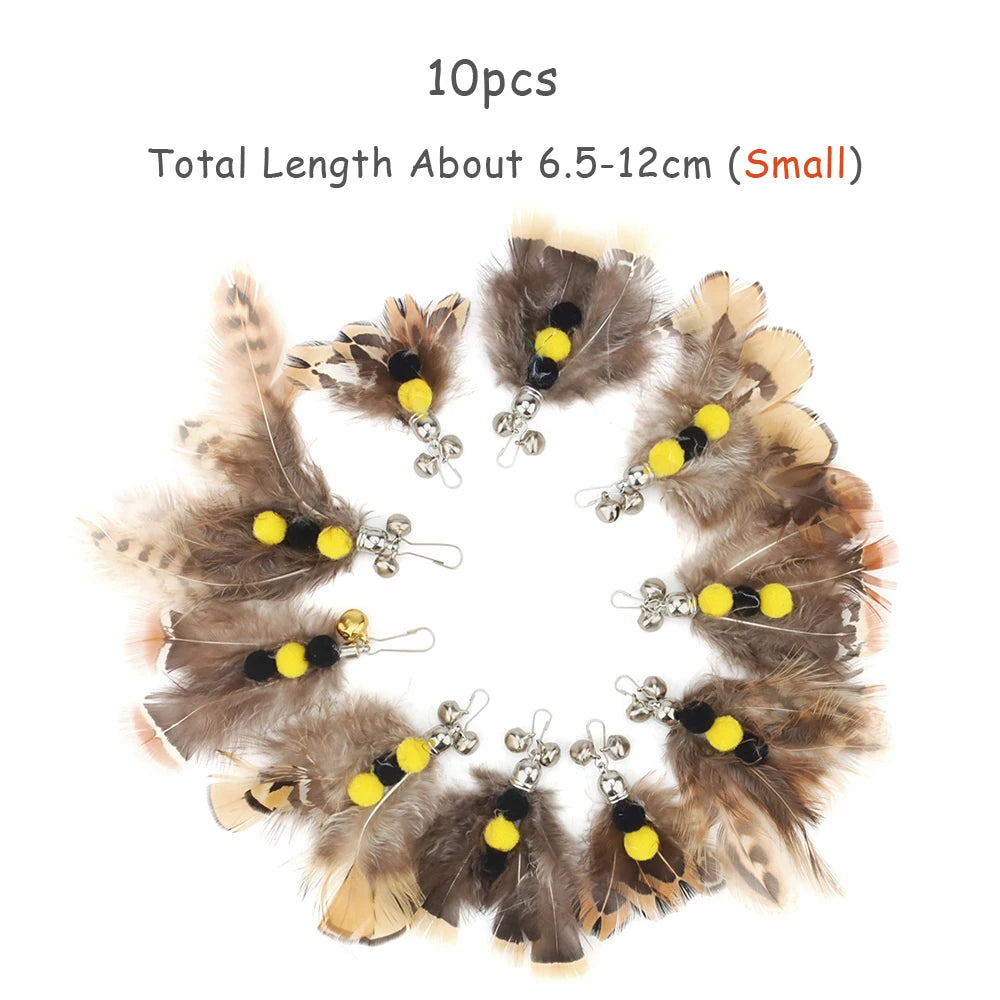 Feather Cat Teaser Toy Replacement Pack (10pcs)