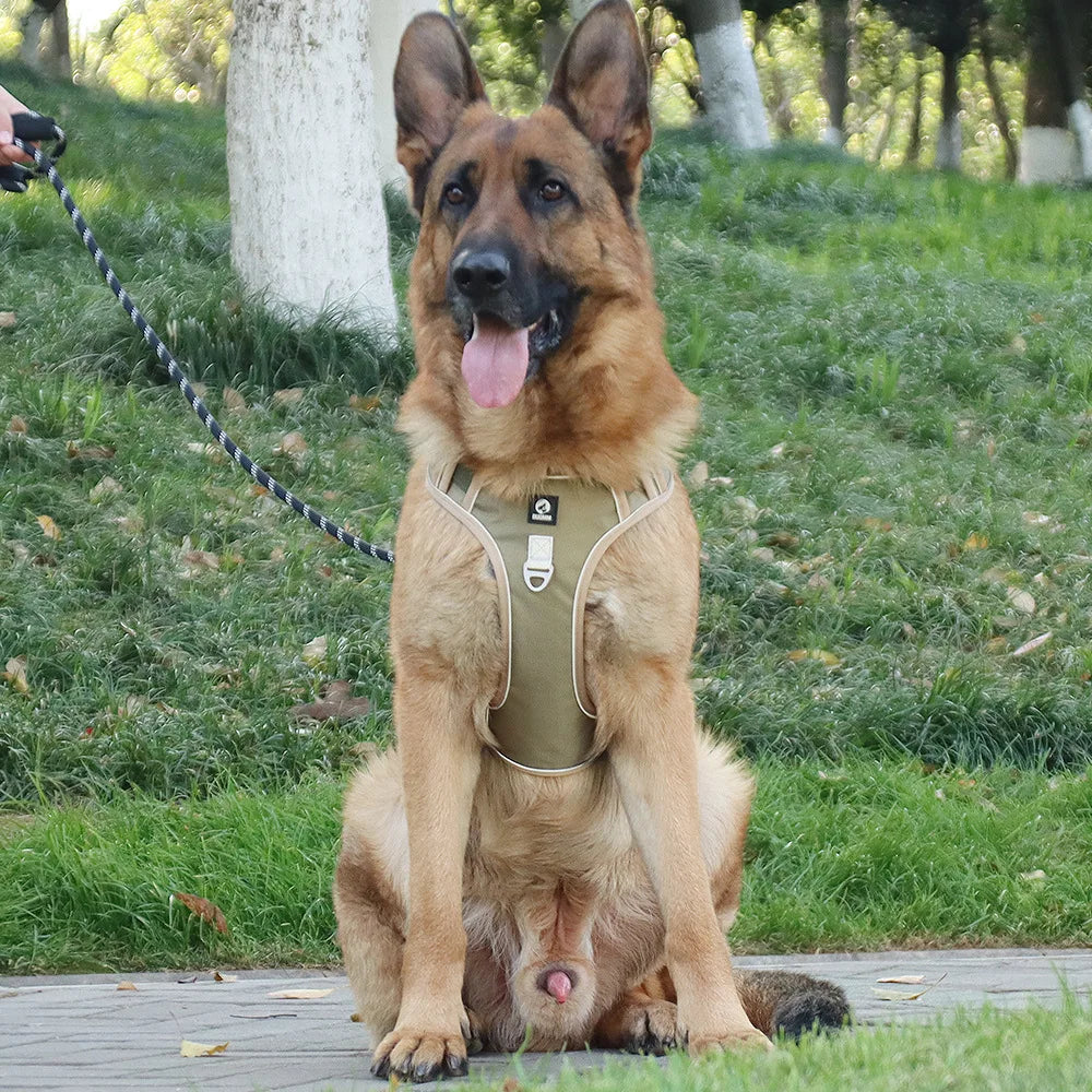 3M Reflective Padded Dog Harness Vest