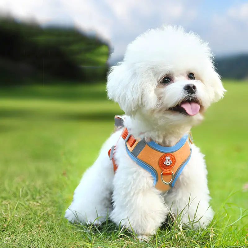Harnais Réfléchissant Respirant pour Chien - Réglable pour Petits Chiens et Chiots