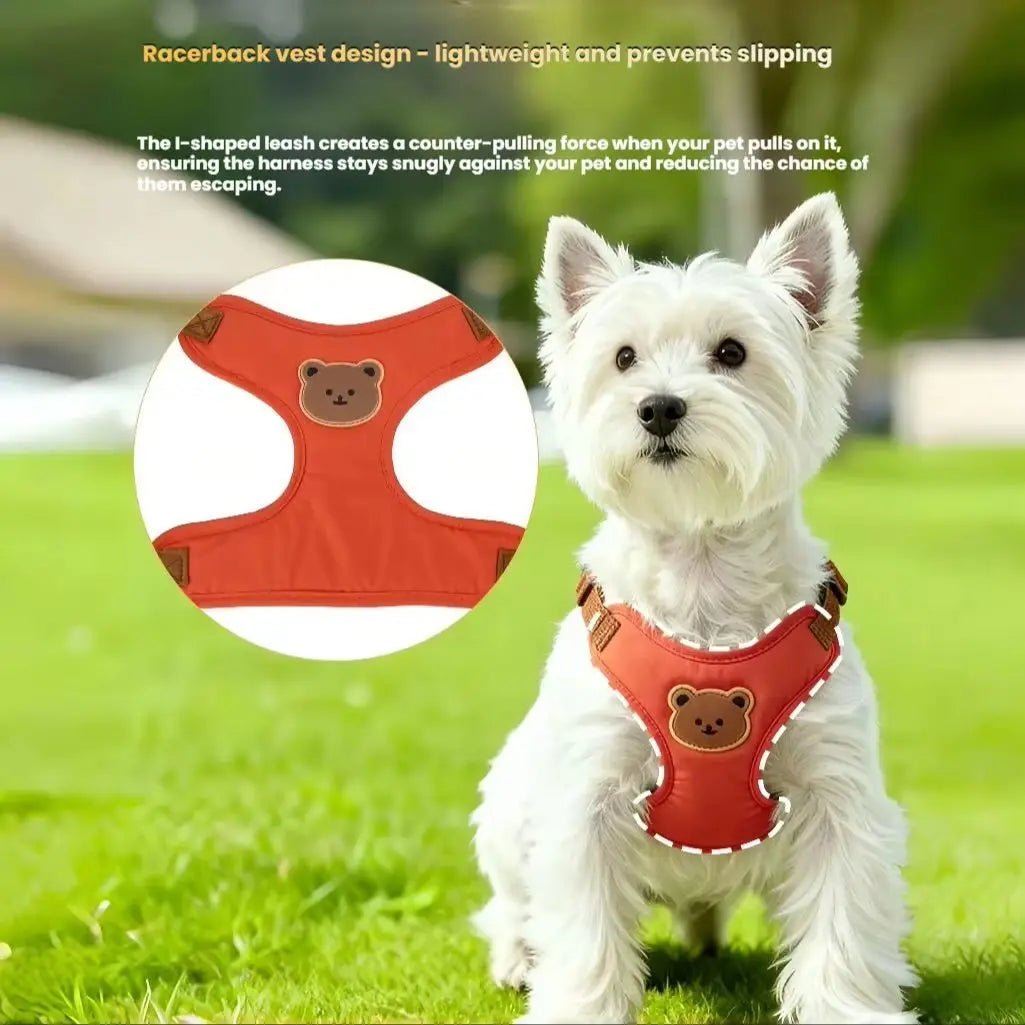Breathable Vest Harness & Lead Set for Small Dogs & Cats