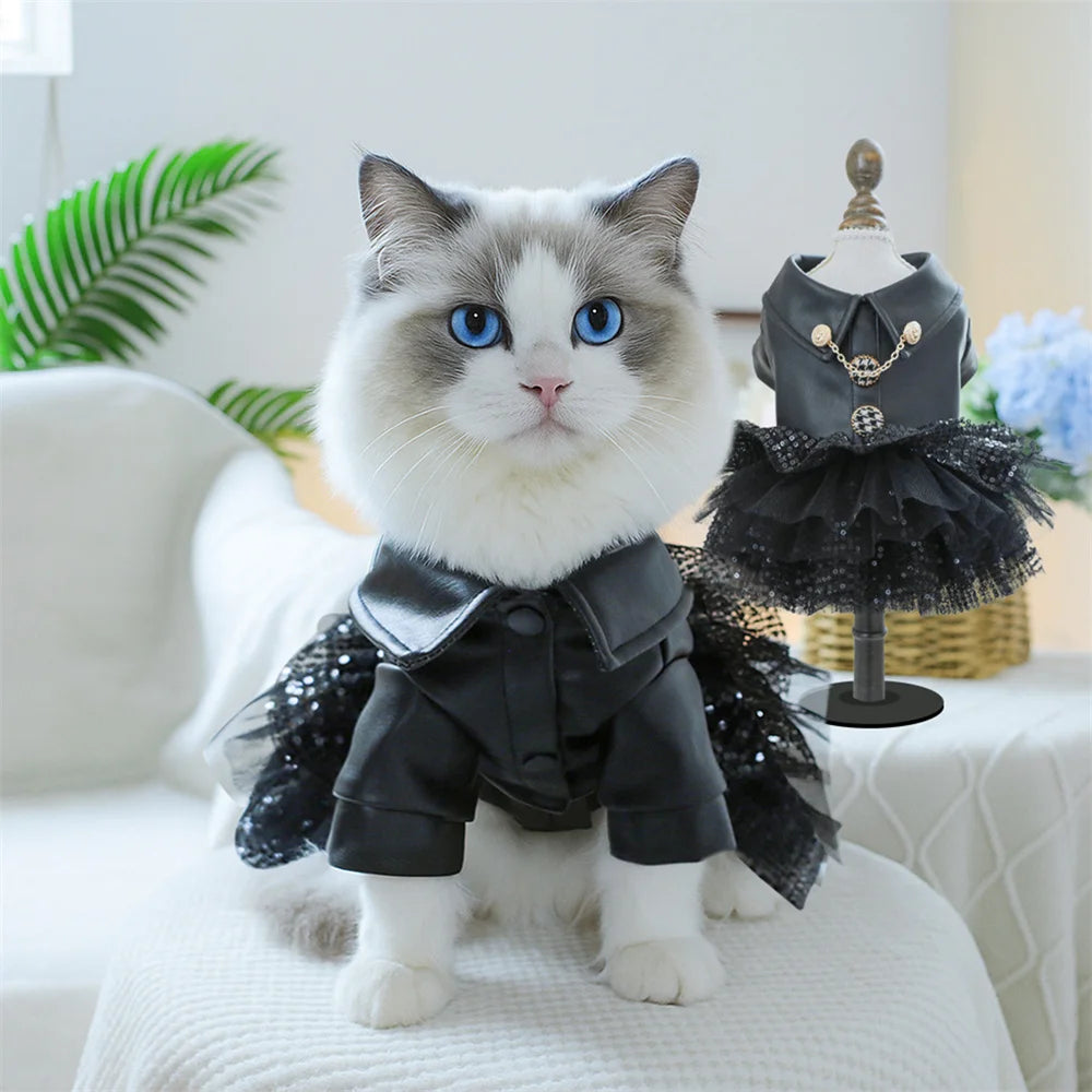 Sequin & Lace Pet Dress