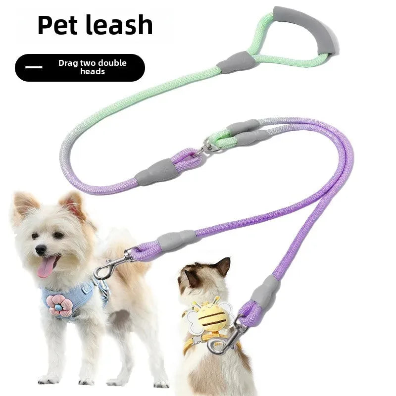 Ensemble complet de collier, harnais et laisse pour chien de qualité supérieure