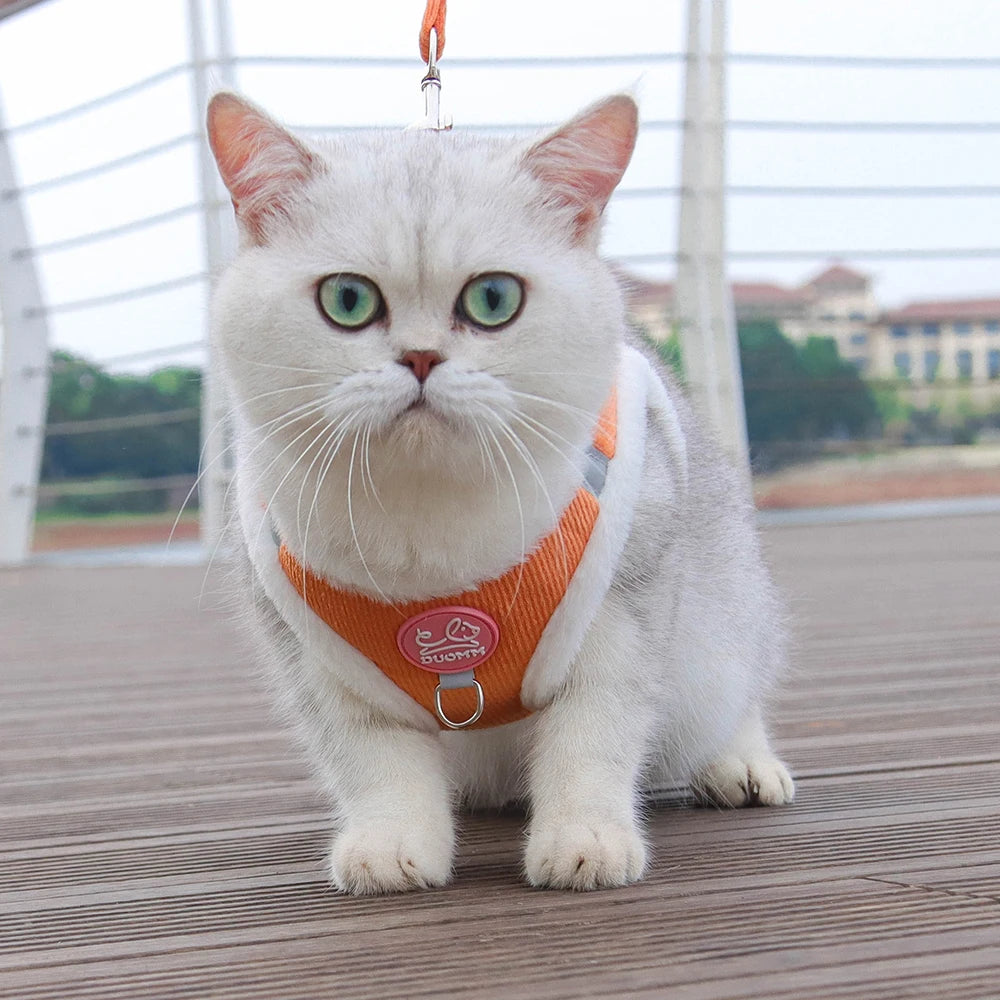 Rabbit Fur Harness & Leash Set for Cats & Small Dogs