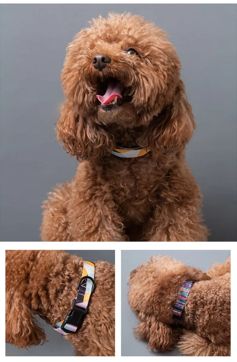 Bohemian Style Dog Collar & Leash Set – Adjustable for Small, Medium & Large Dogs