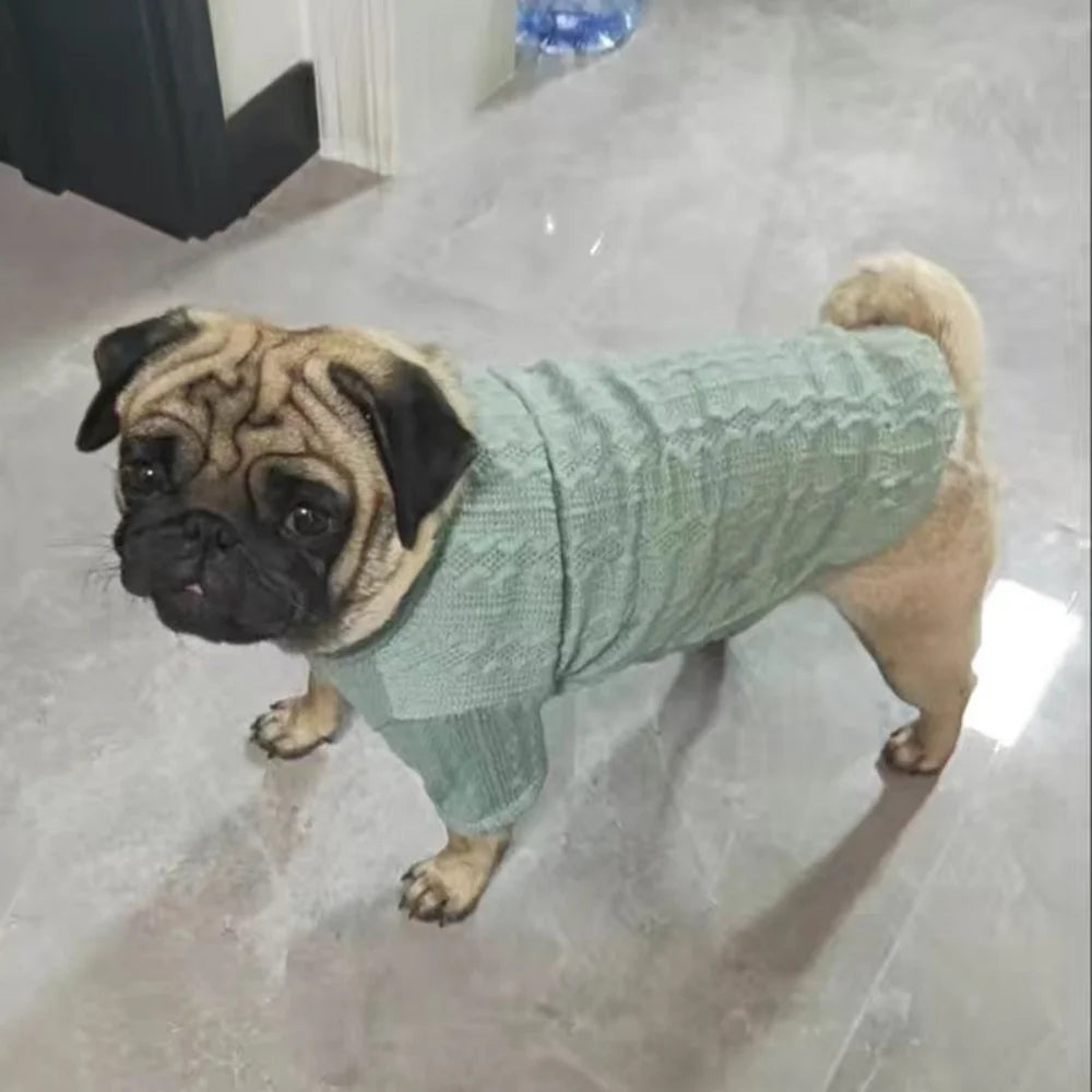 Long-Sleeve Knitted Pullover Sweater for Cats & Small Dogs